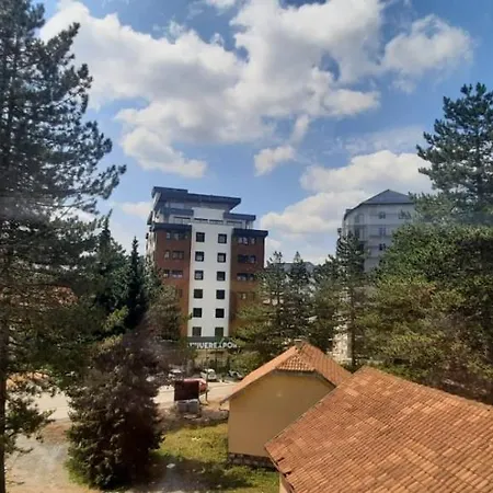 Beli Bor Deluxe *